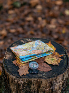 Paper map and compass on tree stump with autumn leaves in forest. Hiking navigation equipment for orienteering and travel. Outdoor adventure, exploration and wilderness journey concept.