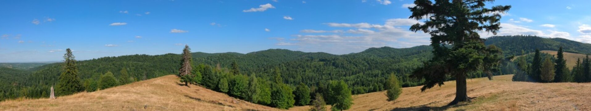 Panorama, r&eacute;gion de Suceava, Roumanie