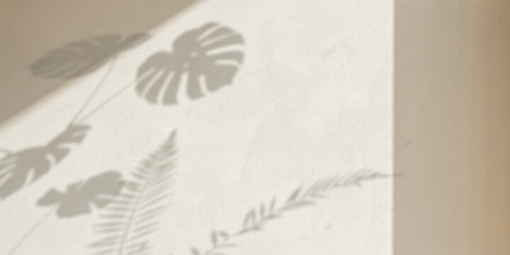 Shadow of monstera palm and fern leaves projected on beige textured wall background