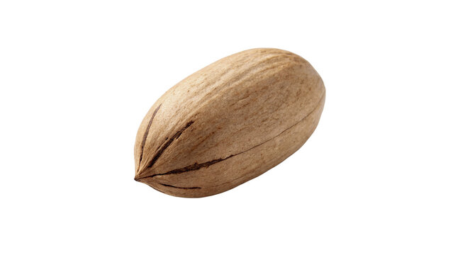 Single whole pecan nut in brown textured shell isolated on transparent background for healthy organic snack product packaging.
