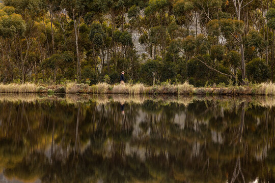 man walking perimeter of pond at dawn, Stanford, South Africa