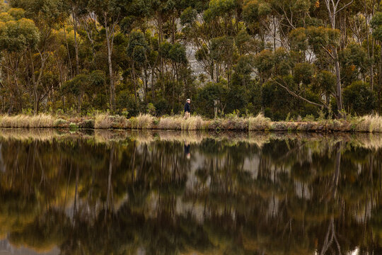 man walking perimeter of pond at dawn, Stanford, South Africa