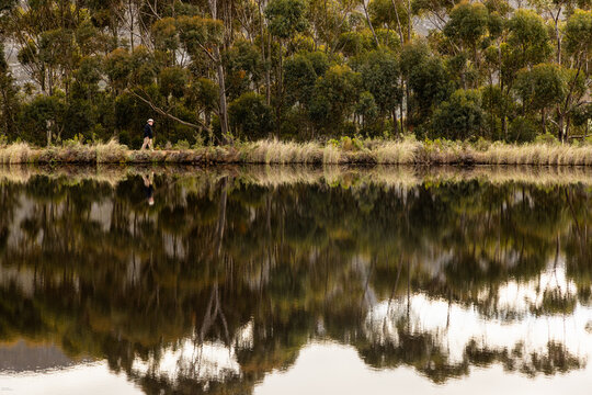 man walking perimeter of pond at dawn, Stanford, South Africa