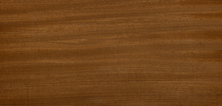 Afrormosia wood grain  texture background
