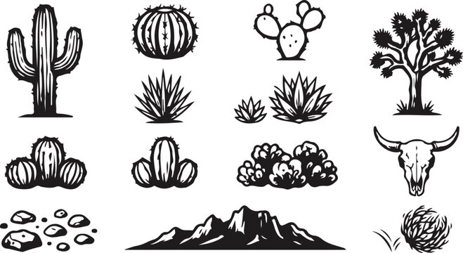 Black and white cactus and desert landscape vector icons set