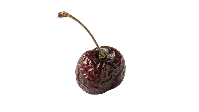 Single  dried dark red cherry with green stem isolated on transparent background for organic agricultural farm summer berry harvest.