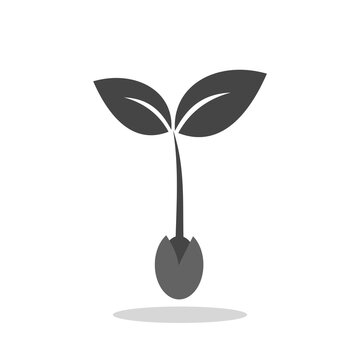 Sprout sign icon with shadow