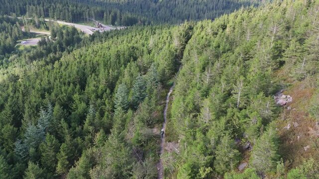 An aerial drone shot pushing in on a lone hiker on a winding trail through the lush evergreen forest of Schwarzkopf mountain in Germany. Captures the tranquility and natural beauty.