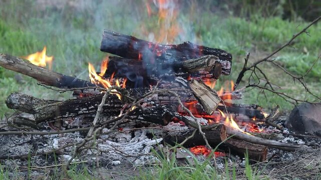 Warm and cozy bonfire in nature close-up. Burning logs turning into coals and ashes under the influence of fire. Concept of relaxation away from civilization, travel and camping. Close-up of a bonfire