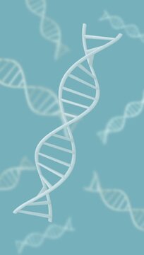 3D animation of white DNA on clean background, Science and biotechnology concept