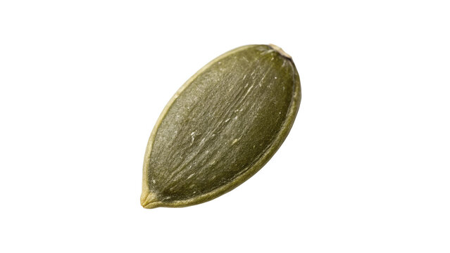 Single green pumpkin seed hulled pepita raw isolated on transparent background for healthy vegan snack packaging illustrations.