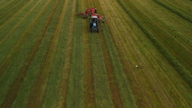 Hay Tedder Making Rows Across a Grass Field, Pulled by a Blue Tractor | Drone Footage