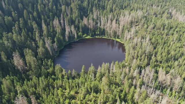 Aerial pan left drone footage from the serene, dark lake Wildsee nestled within the vast, lush evergreen forest of the Black Forest region in Baden-W&uuml;rttemberg, Germany. Peaceful natural landscape.