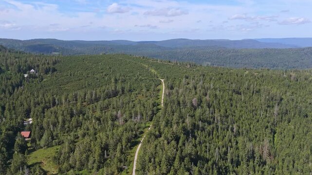 An aerial push in shot over the dense green forests and rolling hills of the Black Forest in Baden-W&uuml;rttemberg, Germany. A winding dirt road cuts through the serene, remote landscape on a sunny day.