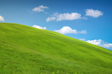 Obraz premium Rolling green pasture under a vibrant blue sky with fluffy white clouds, representing nature, growth, and freedom