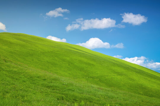 Rolling green pasture under a vibrant blue sky with fluffy white clouds, representing nature, growth, and freedom