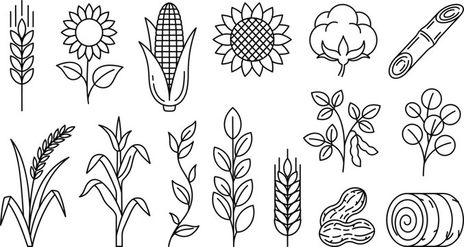 Agricultural crop line icons vector set featuring wheat corn sunflower cotton sugarcane soybean peanut rice and hay bale