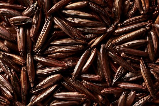 Full frame macro texture of raw organic black wild rice grains
