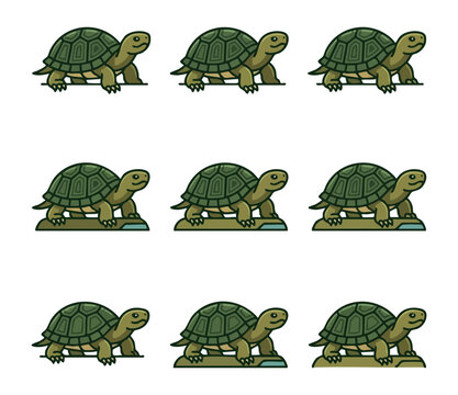 Nine tortoises arranged in grid pattern for concept of progression
