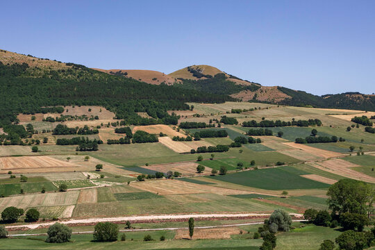 View of meadow in Colfiorito