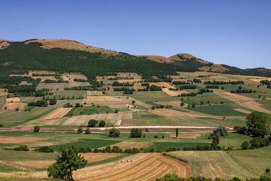 View of meadow in Colfiorito