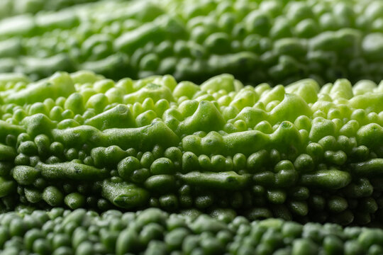 Close-up of fresh green bitter gourd or bitter melon texture background