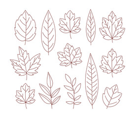 Naklejka premium Autumn leaves line art vector illustration set. Hand drawn fall foliage icons including maple, oak, and chestnut leaves on white background for autumn design.