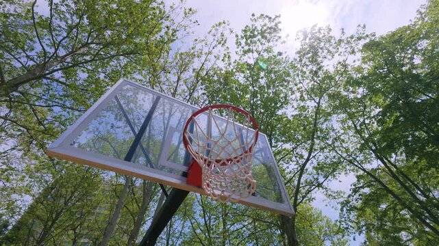 Outdoor Basketball Hoop and Net Low Angle View Against Blue Sky and Trees