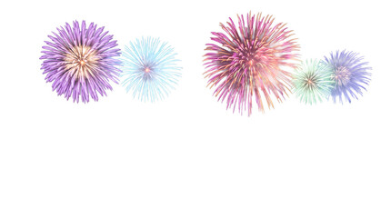 Fototapeta premium Colorful pyrotechnic bursts during a festive celebration on a clear night