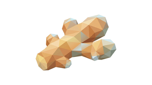 Low Poly Ginger Root Illustration on Black Background