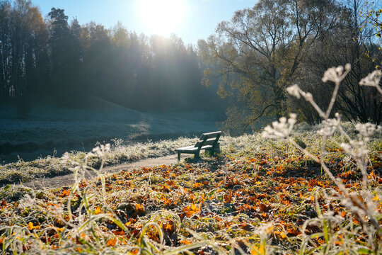 Quiet bench sits on a grassy path covered with frost near a lake in Europe where bright sun shines through the trees during a cool morning in October