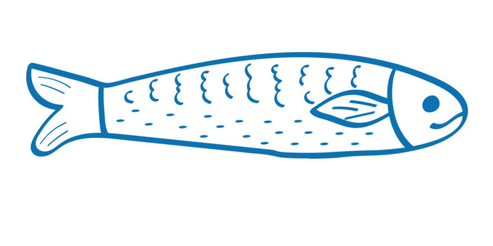 Sardine Fish Line Art Illustration