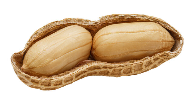 Two shelled peanuts inside a cracked peanut shell, isolated on transparent background