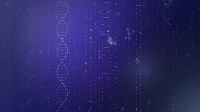 DNA double helix strands over falling genetic code characters on a purple background, for genetics and biotech themes