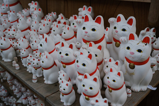 Rows of white lucky cat figurines at a Japanese temple