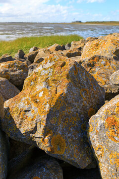 Dreamy fine art image of the big boulders of the Wadden sea dike of Schiermonnikoog, the Netherlands covered with yellow moss whilst in the blurred background the Marina at ebb tide is visible