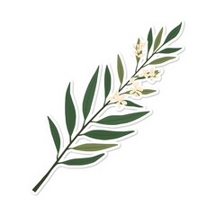 Fototapeta premium olive branch vector illustration