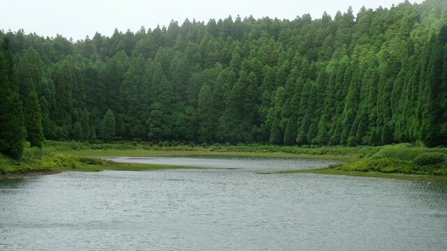 Cinematic reveal of Lagoa das Eguas ringed by Japanese cedar forest, title sequence opener, Sao Miguel, Azores