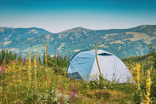 Light tent pitched in a vibrant summer meadow with wildflowers, offering adventure and freedom in a beautiful mountain landscape