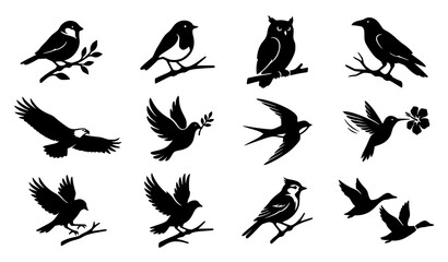 Fototapeta premium Bird Silhouettes Set with Branches, Leaves, and Various Avian Species