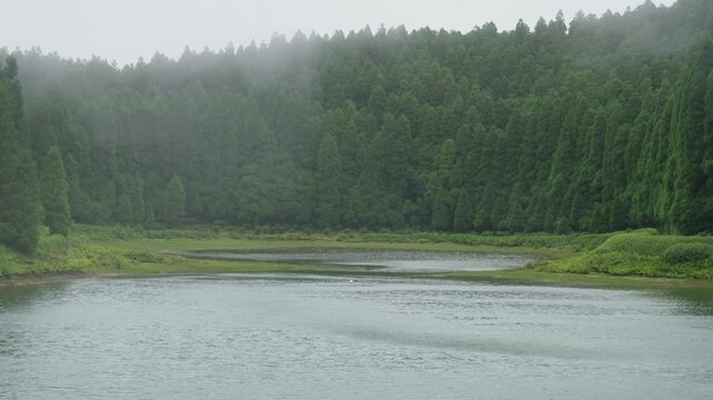 Mist rises from cedar forest around Lagoa das Eguas under a pale overcast sky, interior Sao Miguel, Azores