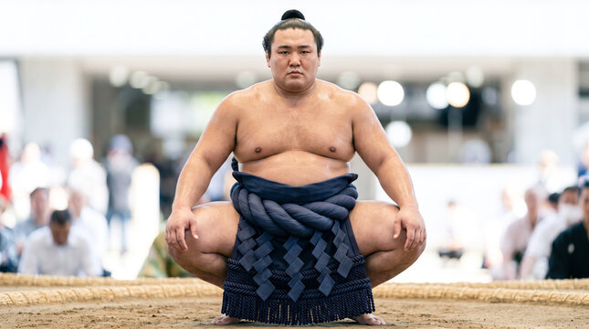 土俵の上で化粧まわしを着用して立ち合いの構えをとる力士