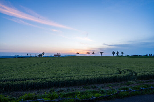 メルヘンの丘の夕暮れ
