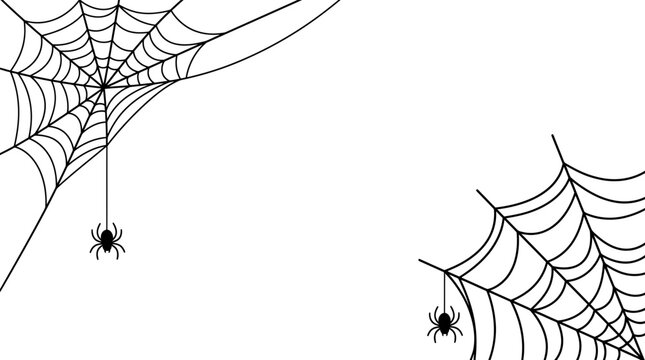 Two spider webs with hanging spiders