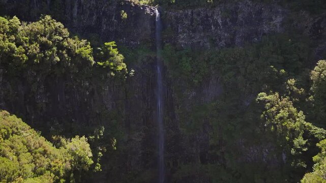 Aerial footage reveals Risco waterfall pouring down rugged cliffs into lush laurel subtropical forest on Madeira's Levada das 25 Fontes trail, sunlight painting vibrant greenery.