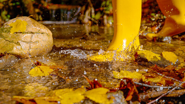 CLOSE UP, LOW ANGLE VIEW Person in yellow rubber boots crossing forest creek on sunny autumn day. Water splashes around colorful fallen leaves and wet stones. Playful moment from October woodland walk
