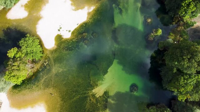 River flowing through trees in untouched nature, aerial drone view. Crystal clear water of the river meandering through a lush forest, view from above. Una River landscape in Bosnia and Herzegovina.