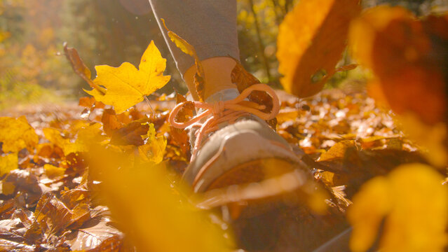 CLOSE UP, DOF, LOW ANGLE, LENS FLARE: Unrecognizable woman walks through forest carpeted with autumn leaves. Her shoes step through rustling dry foliage and lift them into the air in golden sunlight.