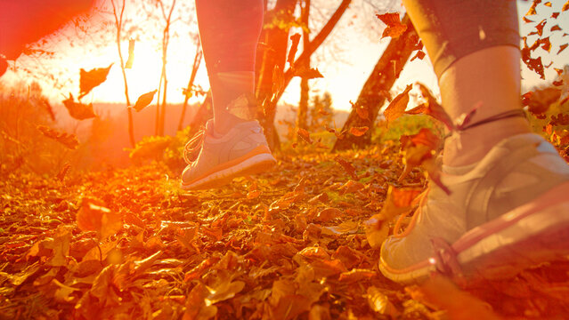 LENS FLARE, DOF, LOW ANGLE, CLOSE UP: Running shoes moving through carpet of rustling fall foliage. Autumn leaves fly into the air with every step woman makes as warm sunlight fills the leafy forest.