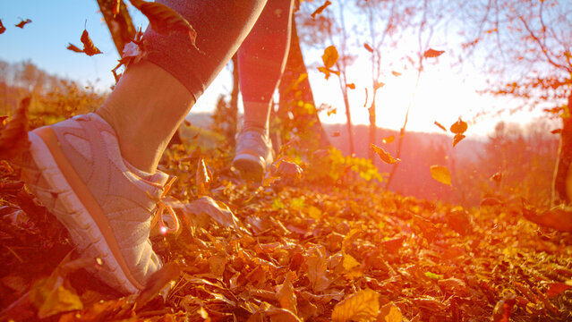 LENS FLARE, DOF, LOW ANGLE, CLOSE UP: Unrecognizable female runner moves through fallen autumn leaves while warm sunlight shines across the forest floor. Jogging amid flying dry leaves in fall season.